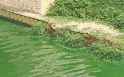 Comment faire l’eau d’une rivière de plaine ?