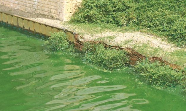 Comment faire l’eau d’une rivière de plaine ?