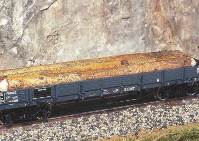 Le wagon plat chargé de troncs en ligne.
