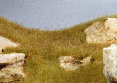 On distingue sur cette photo les différences de teinte et de hauteur de nos herbes et leur orientation.