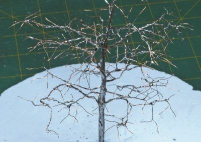 13 – Les dernières branches sont formées et raccourcies en arrivant au sommet de l’arbre.