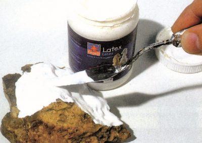 16 - Application du latex concentré à l’aide du couteau de peintre.