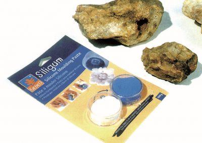 18 - Le Siligum dans son blister et les rochers prêts à le recevoir.