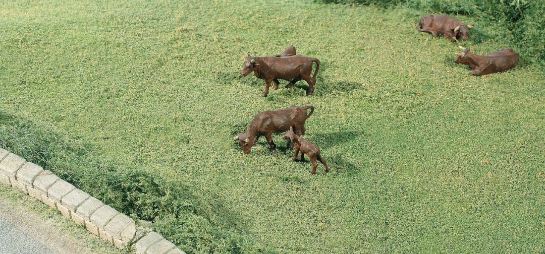 La soirée approche, il fait moins chaud, on en profite pour brouter l’herbe encore verte pour la saison… Vaches Preiser revues et corrigées (cornes affinées et robe fauve des vaches de Salers).