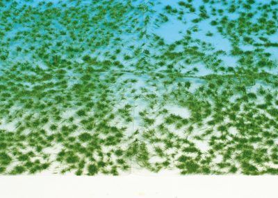 25 - Les touffes d’herbes courtes sont aussi des petites fibres encollées sur une base adhésive transparente. A manipuler avec une pince pour une mise en place plus aisée.